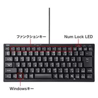 サンワサプライ USBハブ付コンパクトキーボード SKB-KG3UH2BK 1個