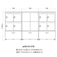 【軒先渡し】エムテックス スチールパーソナルロッカー 専用 天板 幅800mm用 285115 1枚（直送品）