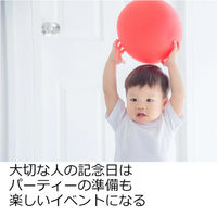 ハンズプロ 還暦お祝いバルーンデコキット hans-038 1セット