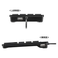 サンワサプライ USBテンキー(Type-Cコネクタ・USB2.0ハブ付き) NT-18CUHBK 1個（直送品）