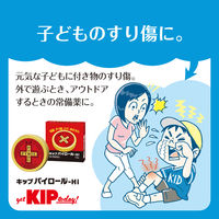 キップパイロールHi 15g キップ薬品　塗り薬　日焼け 軽度のやけど 切傷 すり傷 あかぎれ 雪焼け【第2類医薬品】