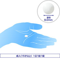 アレジオン20 6錠 エスエス製薬　エピナスチン塩酸塩 1日1回 花粉などによるアレルギー性鼻炎 鼻水 くしゃみ【第2類医薬品】