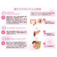 酸化マグネシウムE便秘薬 360錠 健栄製薬　非刺激性便秘薬 レモン風味のチュアブル錠 カマグ【第3類医薬品】