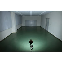 アイリスオーヤマ LEDクランプライト 2000lm  幅170×奥行116×高さ467mm (作業灯 / ワークライト)  昼光色 LWT-2000C １台