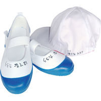 寺西化学工業 マジックインキ なまえペン 細字 黒 MNHP-T1 1セット(10本)