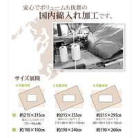 イケヒコ 綿100％ 無地調 国産 こたつ布団 掛敷セット 『いろり』 茜（レッド） 約2150×2150mm 1セット（直送品）