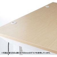 サンワサプライ 電動上下昇降デスク 薄い木目 幅1200×奥行800×高さ630～1280mm ERD-M12080LM 1台（直送品）