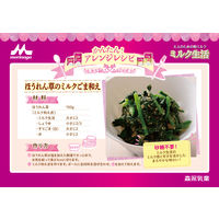 森永乳業 ミルク生活 1缶（300g）