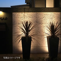 タカショー ひかりノベーション 壁のひかり追加ライト LGL-LH02 1個