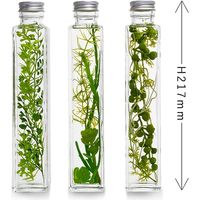 ハーバリウム/多肉植物3種セット プリマ（直送品）