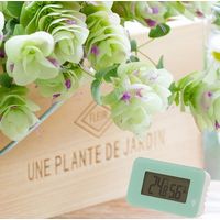 エンペックス気象計 シュクレ・イルミー温湿度計 イエロー TD-8334 1箱(2個)（直送品）