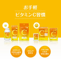 シナールEXチュアブル錠e 300錠 シオノギヘルスケア　ビタミン剤 ビタミンCの補給 しみ そばかす【第3類医薬品】