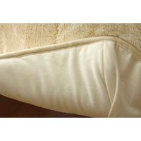 イケヒコ フィラメント素材 省スペース こたつ薄掛け布団単品 フィリップ 幅1800×奥行2200mm アイボリー  1枚（直送品）