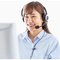 サンワサプライ 電話用ヘッドセット(両耳タイプ) MM-HSRJ01 1個（直送品）