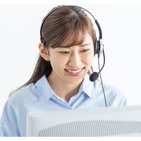 サンワサプライ 電話用ヘッドセット(片耳タイプ) MM-HSRJ02 1個（直送品）