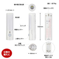 朝日電器 LEDセンサー付きライト PM-L256 1個