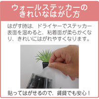 東京ステッカー かわいい 猫 写真 岩合光昭「ねこウォールステッカー04」SS TSー0084ーASS （直送品）