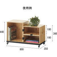 【軒先渡し】ジャーナルスタンダードファニチャー（journal standard Furniture）ブロックボックス3個セット（直送品）