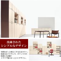 Garage fantoniGF用 下置き用扉 鍵付 幅898×奥行18×高さ797mm 白木（AB） 1枚（直送品）