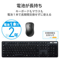 ワイヤレスキーボード マウスセット 無線 フルサイズ 薄型 メンブレン ブラック TK-FDM110MBK エレコム 1個（直送品）
