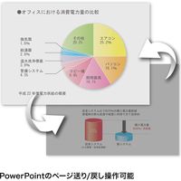 サンワサプライ レーザーポインター MA-WPR13BK 赤色レーザー プレゼン機能 マウス操作 充電式 連続使用5時間（直送品）