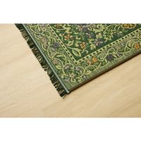 イケヒコ 純国産 い草玄関マット 『Fビビアン』 裏ウレタン 幅600×奥行900mm グリーン 1080420124604 1枚（直送品）