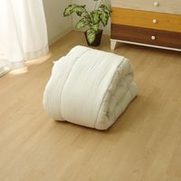 イケヒコ・コーポレーション FIヌード 掛け 170×210cm 1201550000000 1枚