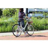 【自転車・折りたたみ】 ミムゴ CITROEN シティFDB266SG 1台（直送品）