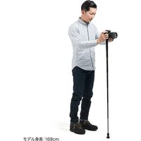 サンワサプライ コンパクト一脚 DG-CAM24 1個（直送品）