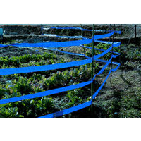 識別テープ「来るなら濃いブルー」　50mm×200m　30巻セット IDENTIFY-BLUETAPE-30P 1箱（30巻入） 松浦産業（直送品）