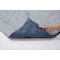 イケヒコ フリッシュ 肌掛けふとん 1650×1850mm ネイビー 1192120370208 1枚（直送品）