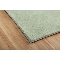 イケヒコ ラピアス ラグ 2000×3000mm ピスタチオグリーン 1280311121403 1枚（直送品）