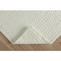 イケヒコ ペール ラグ 1900×2400mm アイボリー 1291970146103 1枚（直送品）