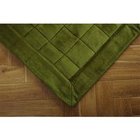 イケヒコ シリウス ラグ 1300×1850mm グリーン 1291240124201 1枚（直送品）