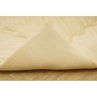 イケヒコ のんべえ 肌布団 ベージュ 1201530024202 1枚（直送品）