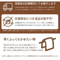イケヒコ 圧縮夢見 ボリューム布団・い草マットセット 1202511143509 1セット(4点入)（直送品）