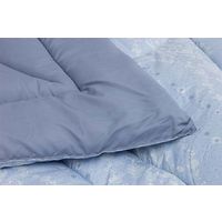 イケヒコ 洗える寝具掛け布団 アムール ダブルロング 1900×2100mm ブルー 1200301042403 1枚（直送品）