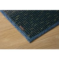 イケヒコ NCXクリア い草ラグ 1900×3000mm ブルー 1070480045003 1枚（直送品）