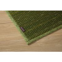 イケヒコ NCXクリア い草ラグ 1900×3000mm グリーン 1070480125003 1枚（直送品）