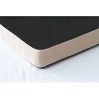 イケヒコ・コーポレーション mou(ムー) シート BK 40×40×4cm 1380000000000 1枚