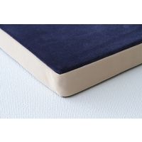 イケヒコ・コーポレーション mou(ムー) シート NV 40×40×4cm 1380000000000 1枚