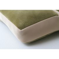 イケヒコ mou（ムー） 2連座布団 幅420×奥行420×高さ80mm グリーン 1380000000495 1個（直送品）