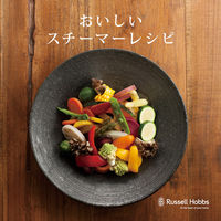 大石アンドアソシエイツ ラッセルホブス ミニスチーマー シルバー コンパクト スクエア型 温野菜 7910JP 1台（直送品）