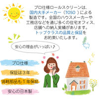 【幅1cm単位】抗ウイルスロールスクリーン幅195cm×高281~300cm tr4238-195x300-r220 1セット トーソー（直送品）