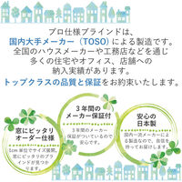 【1cm単位】TOSO プロ仕様ブラインド幅100cm×高124cm＜遮熱>ライトブラウン ctb849-100x124r48 1セット（直送品）