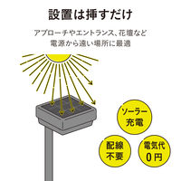 タカショー ひかりノベーション SC 花のひかり LGS-LH02P 1箱(2個入)（直送品）