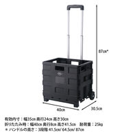 不二貿易 フォールディングキャリーカート ST05 BK 86109 1個