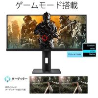 JAPANNEXT 29インチウルトラワイド液晶モニター JN-IPS2975WFHDR 1台