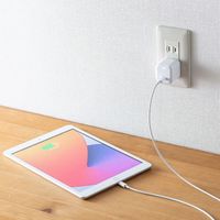 サンワサプライ USB PD対応キューブ型AC充電器（PD20W） ACA-PD89W 1個