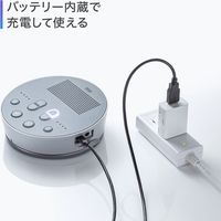 サンワサプライ Bluetooth会議スピーカーフォン MM-BTMSP3 1個（直送品）